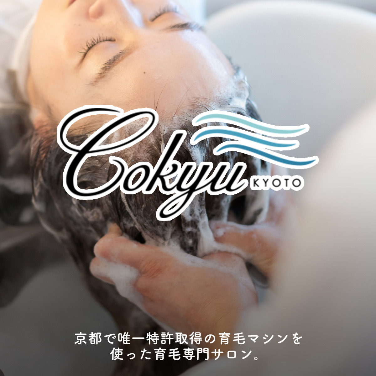 株式会社Little JAP Ltd.